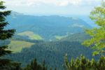 2014-07-05_Laengental-N-Hochweg (619). JPG